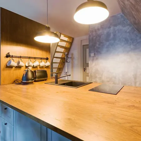 Niguliste 6 Old Town Penthouse * 塔林