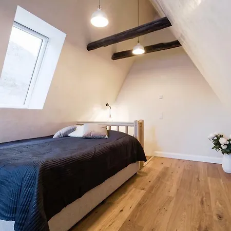 公寓 Niguliste 6 Old Town Penthouse 塔林