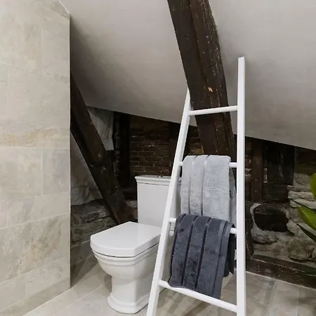 Niguliste 6 Old Town Penthouse 公寓 塔林