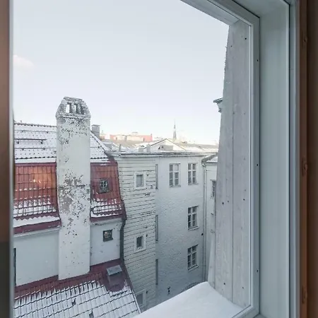公寓 Niguliste 6 Old Town Penthouse *