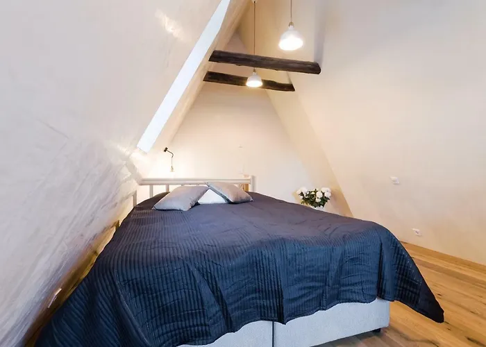 Niguliste 6 Old Town Penthouse * Tallinn